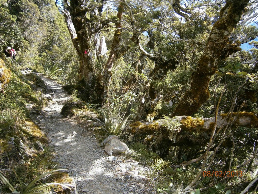 Day 1 started with a bush walk