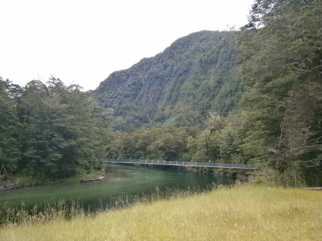 Start of the Milford Track - swing bridge near Glade Lodge