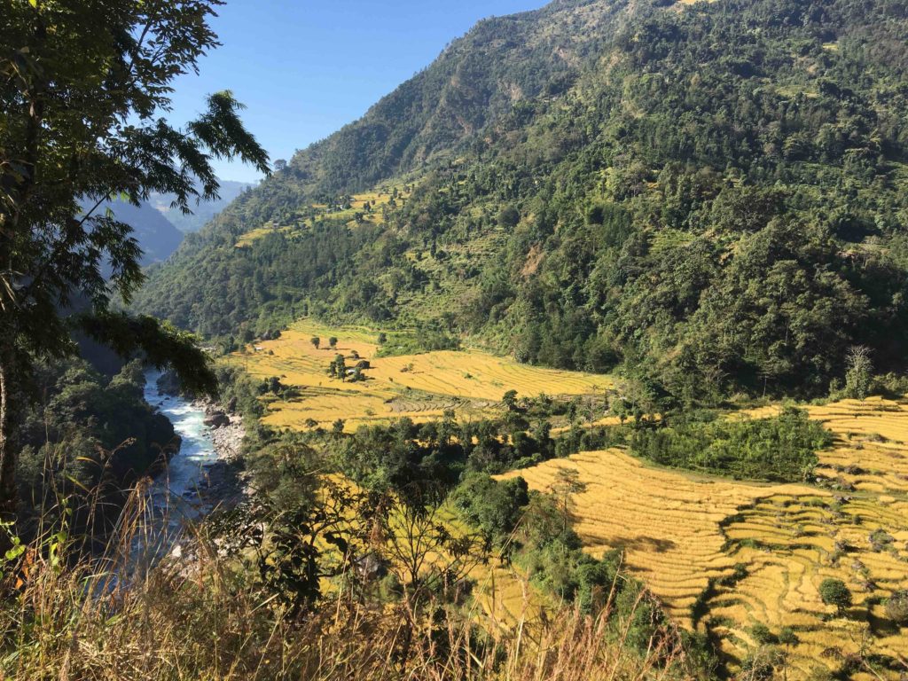 Trekking through lush countryside