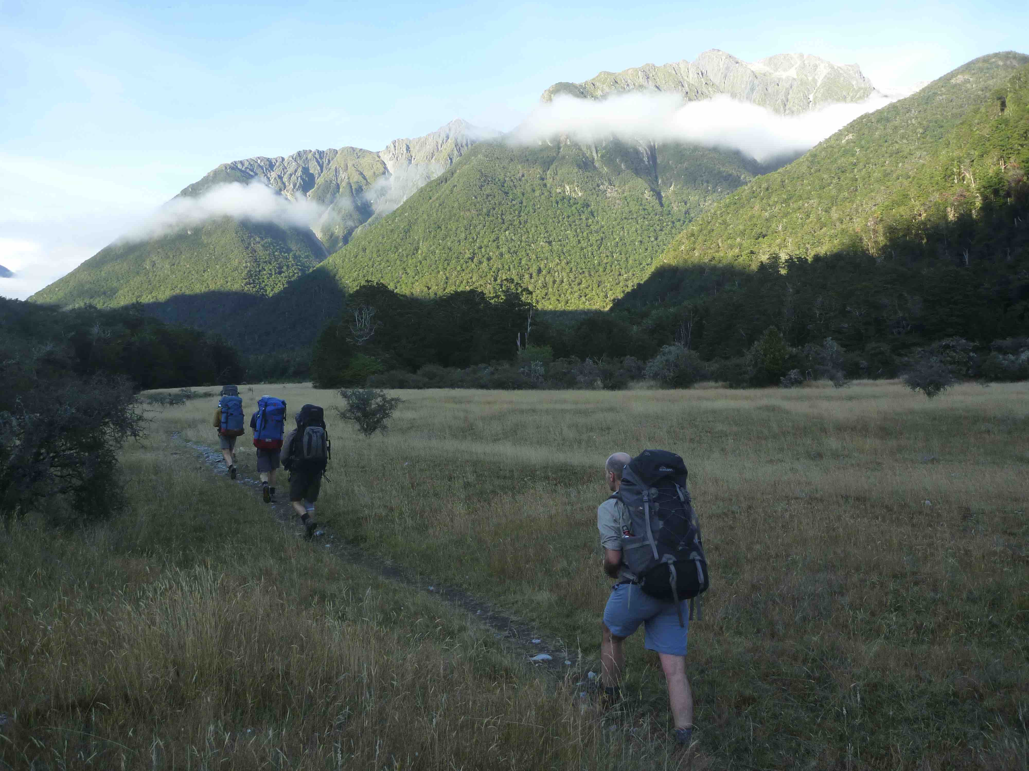 Morning walk across grasslands