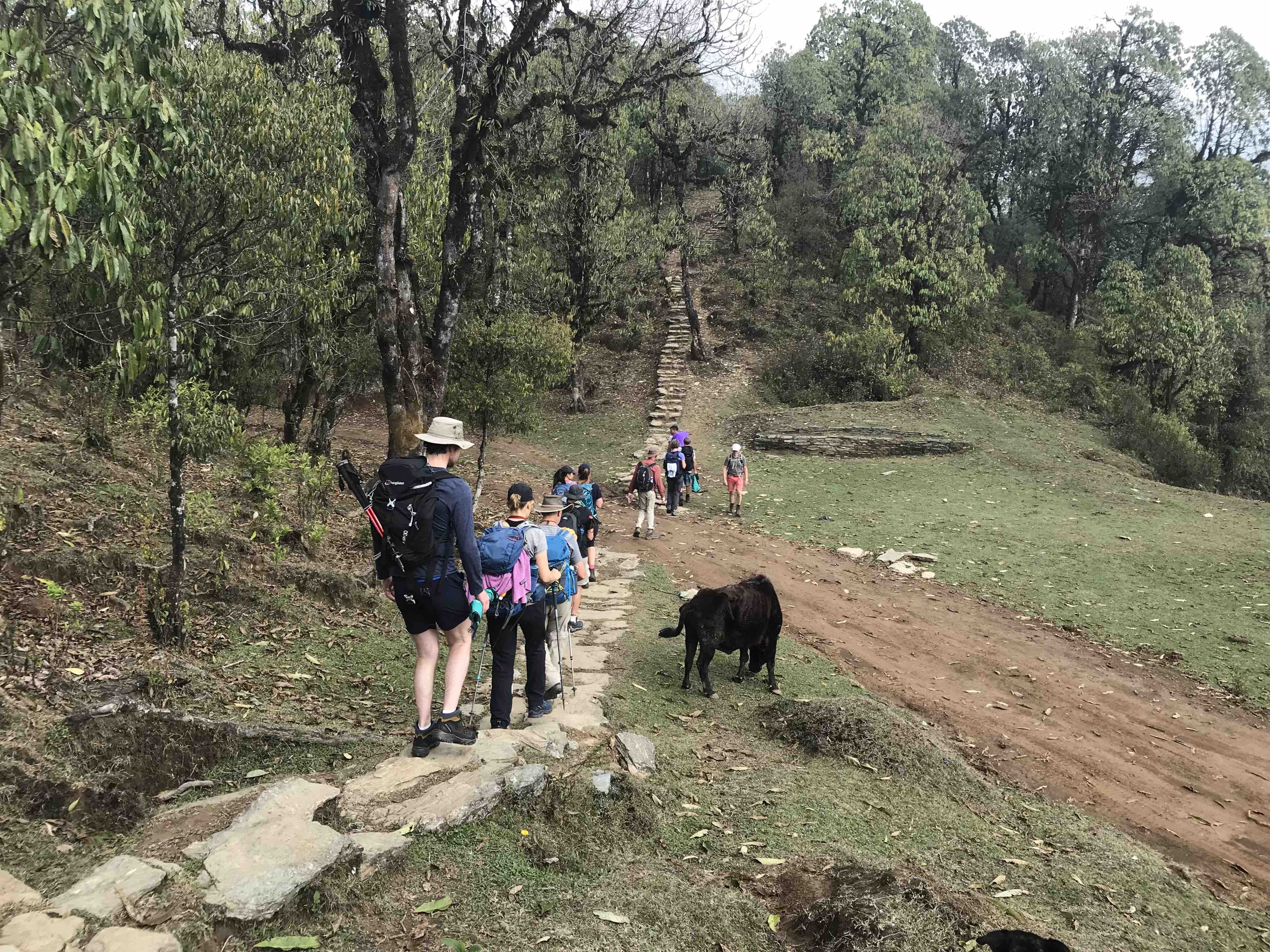 On the trail