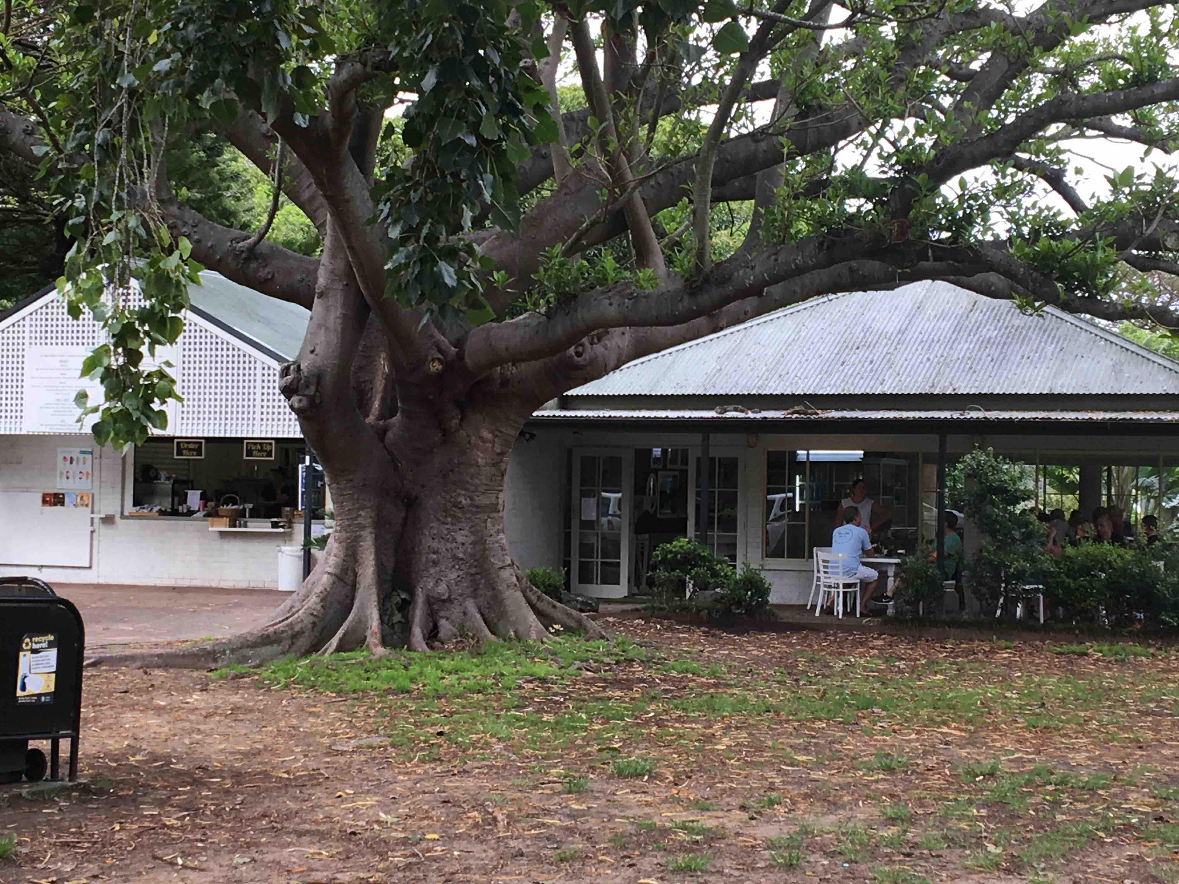 Cafe at Clontarf