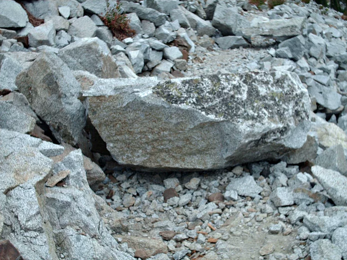 rocky trail blocked by boulder