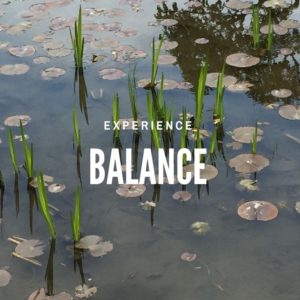 Experience Balance