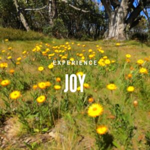 Experience Joy