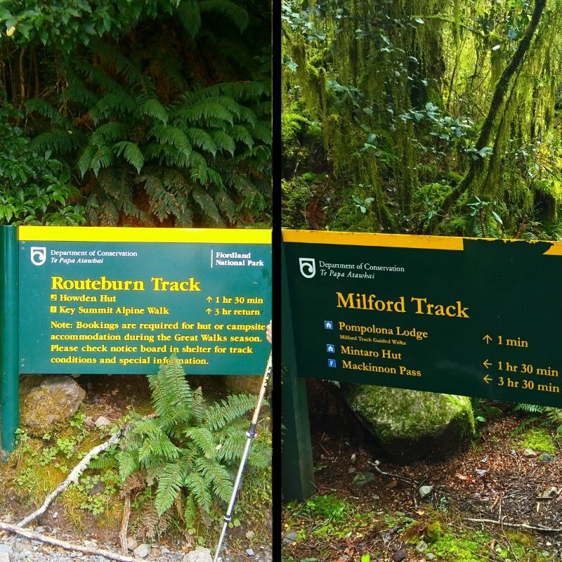 Routeburn track 2024 milford sound