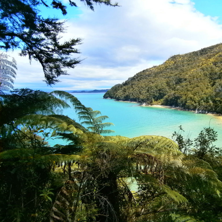 Abel Tasman Track