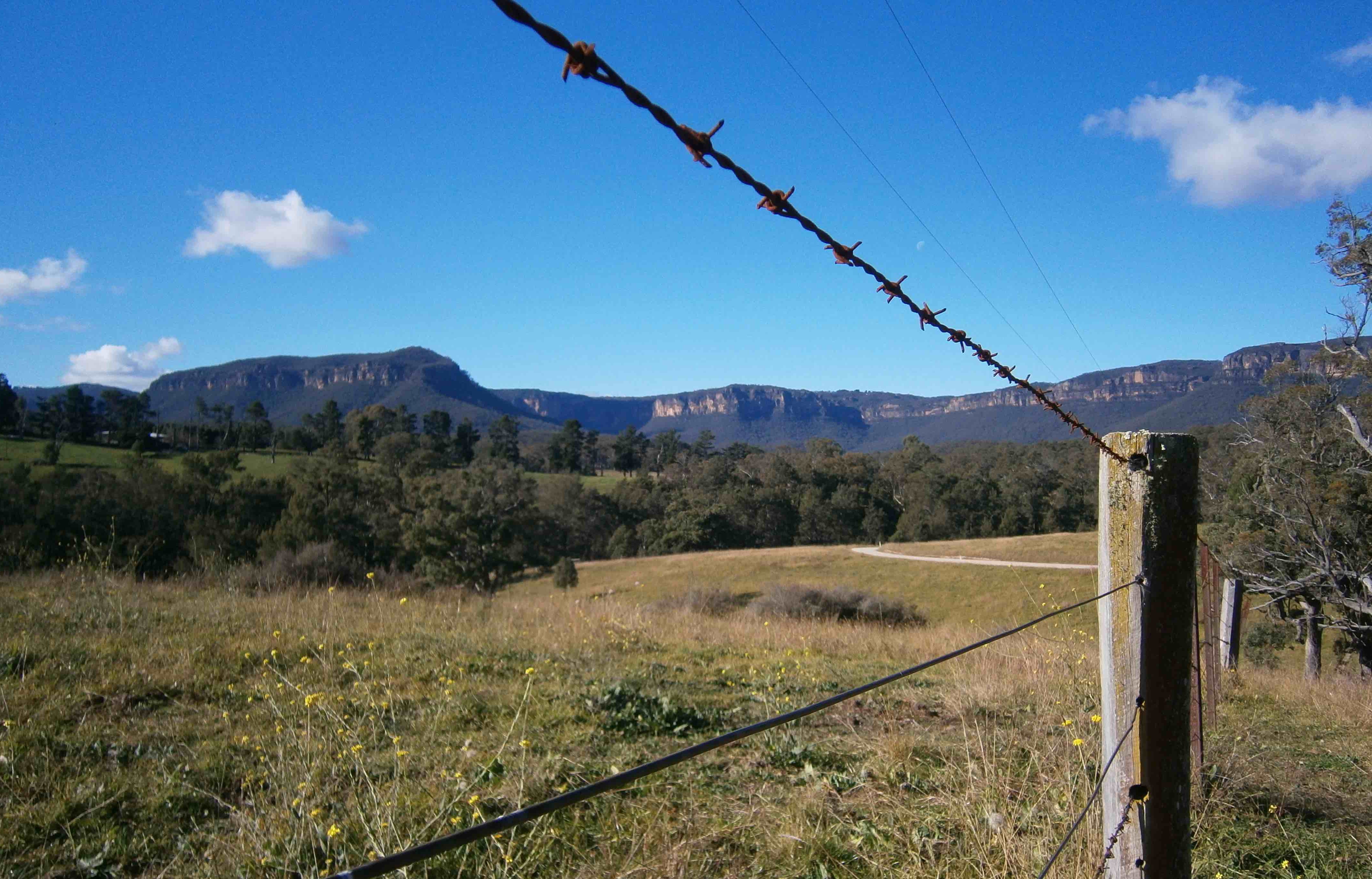 Fenceline view