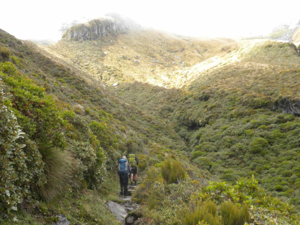 Hardy hikers