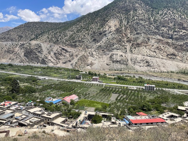 Apple orchards at the village of Marpha