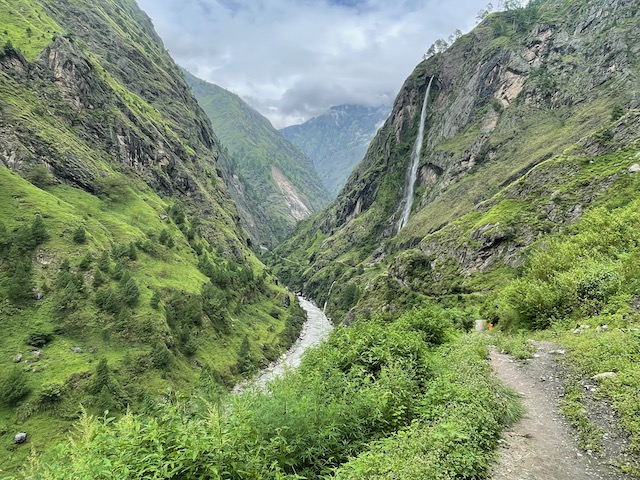 Greenery around gorge