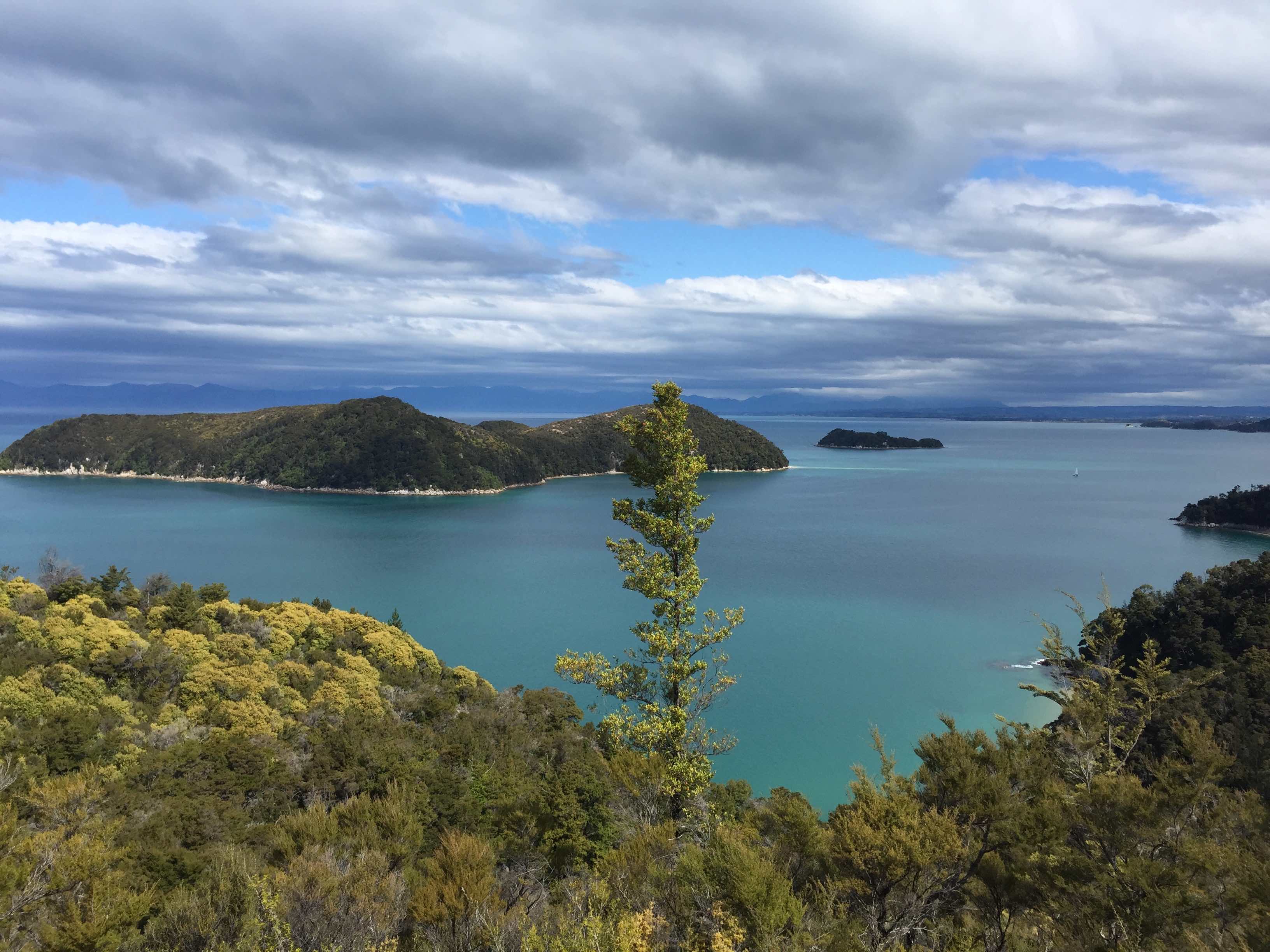 View out to the islands from the Abel Tasman Track