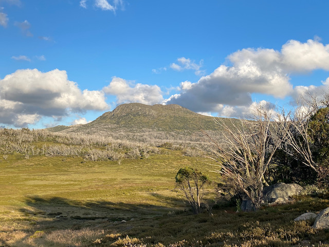 Mt Jagungal in he Jagungal Wilderness