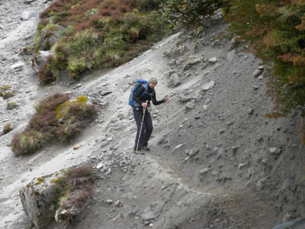 Navigating the landslide