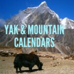 Yak and Mountain calendars