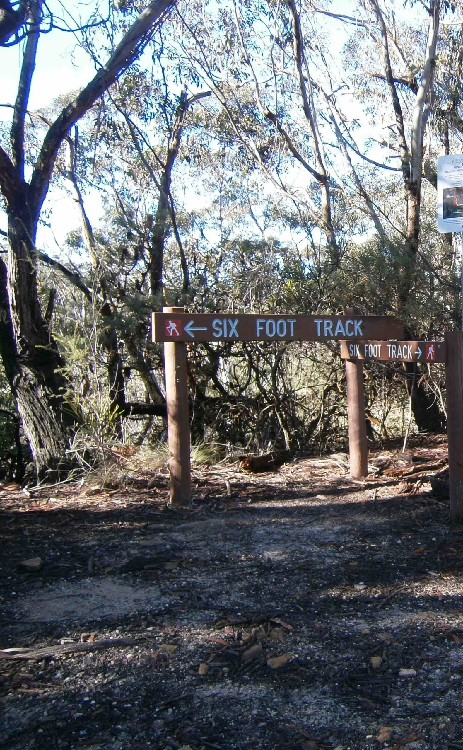 Six Foot Track SIgnpost