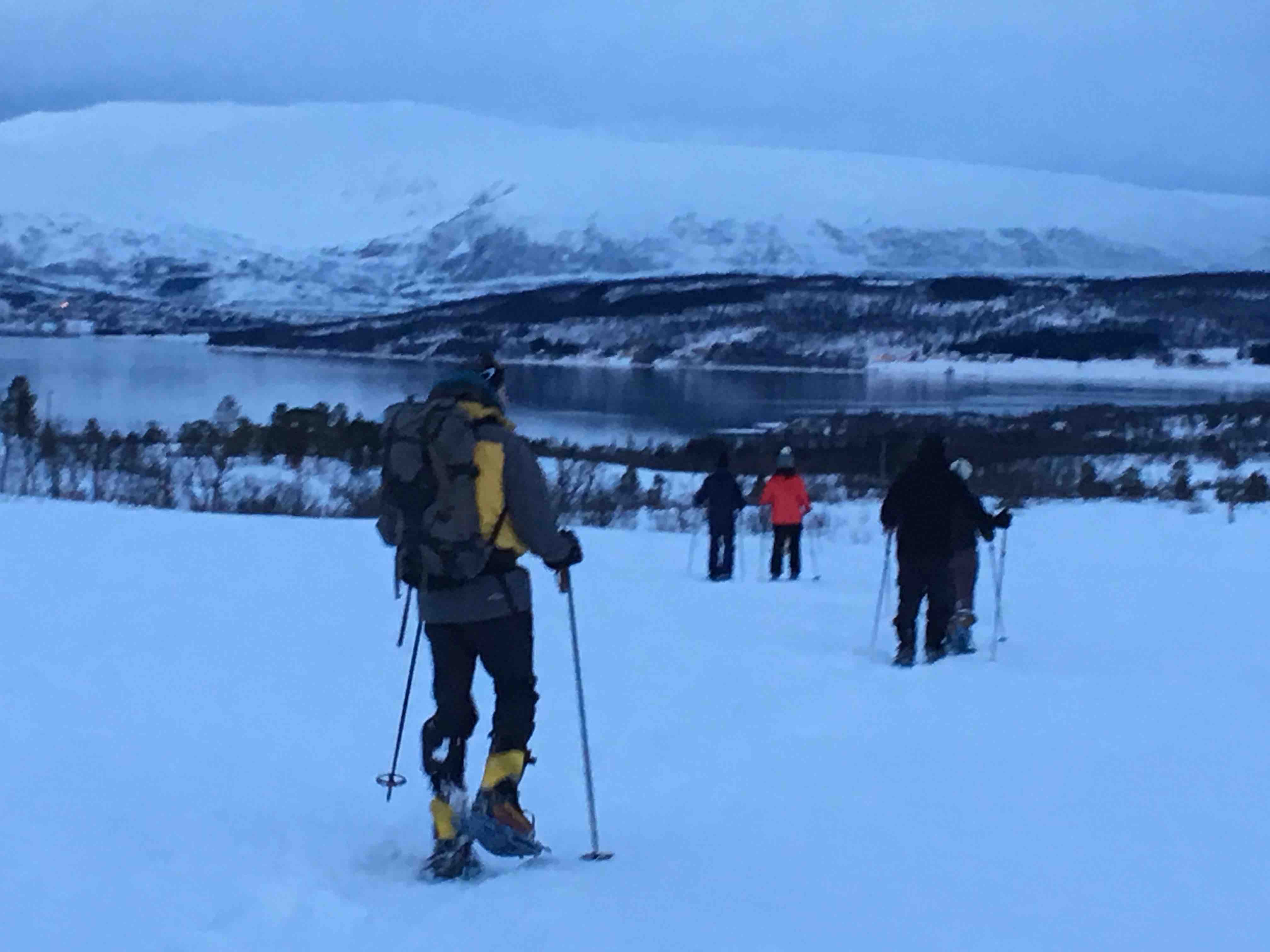 Views back to Tromso on the snow shoeing trail