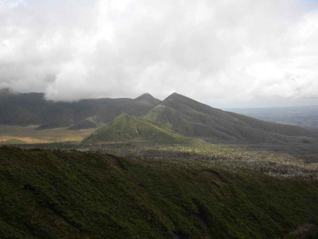 Surrounding view of the Egmont National Park