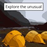 Explore the unusual