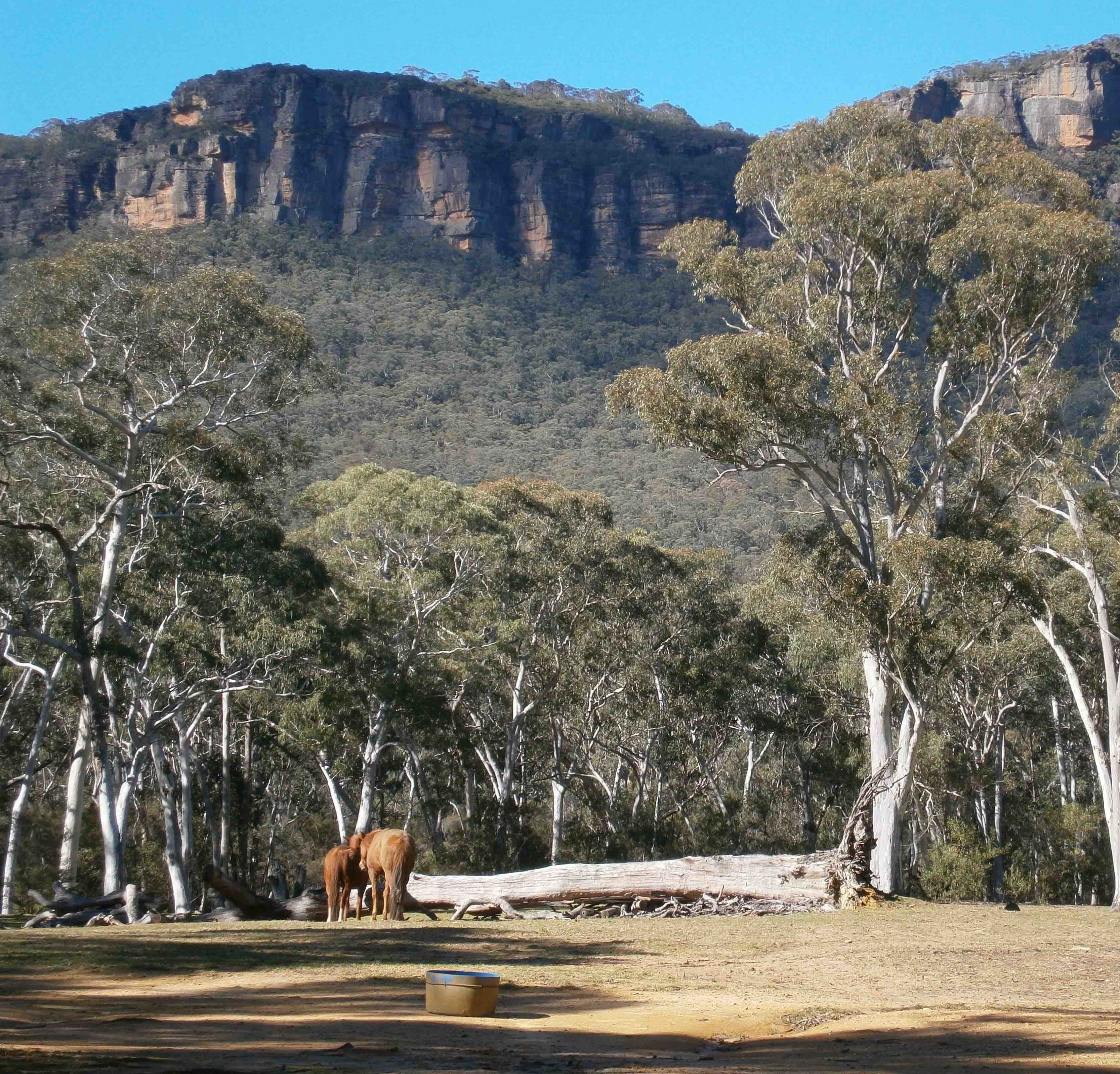 View from the valley