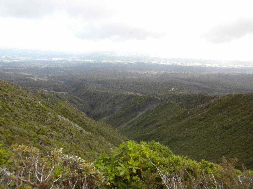 View over Egmont National Park